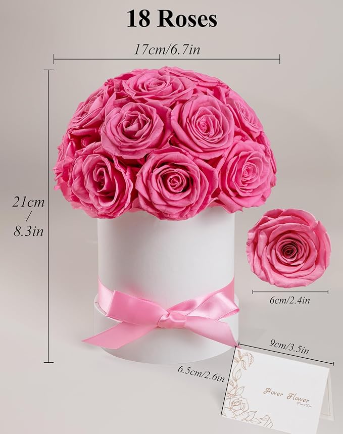 Preserved Roses Dome in a Box, Forever Real Roses Decor, Eternal Flowers for Delivery Prime, Best Gifts Birthday, Wedding, Anniversary, Mother's Day, Christmas for Her, 18-Pieces (Pink)