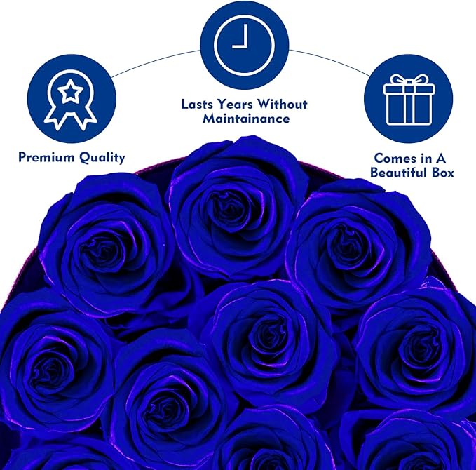 Forever Flowers,12 Roses in A Box，Real Preserved Roses，Birthday Gift for Women,Mother's Day, Anniversary - Blue Rose