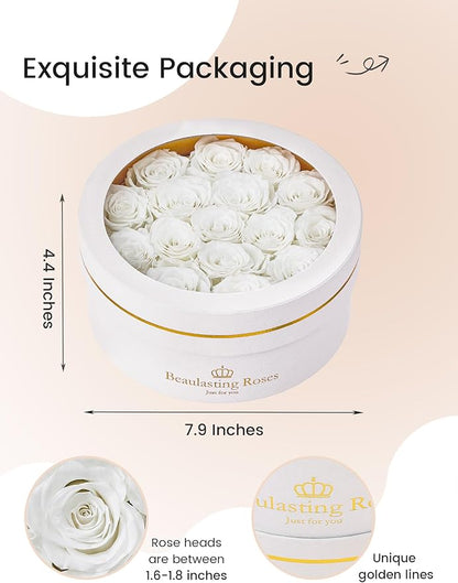 Preserved Roses Forever Flowers Real Roses in a Box Mother's Day Birthday Flowers for Her Mom Women Wife Valentine's Day, 16 White Roses