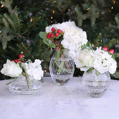 Beatriz Ball Glass Faceted Teardrop Bud Vase (Clear)