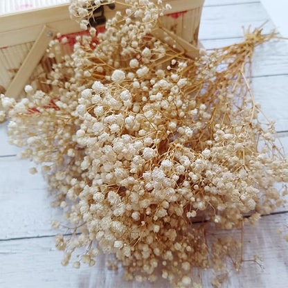 Preserved Baby's Breath, 100% Natrual Gypsophila Long Lasting Flowers for Vase Arrangements Home Decoration Photo Props Parties and Weddings, DIY Décor-White