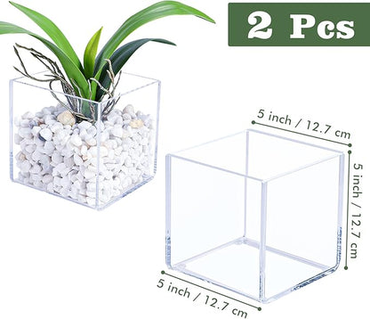 Kamehame Clear Vase 2 Pcs Acrylic Vase, 5"x5"x5" Succulent Pots Planters, Square Cube Vases for Centerpieces, Flower Vase for Home Office Wedding Floral Decor