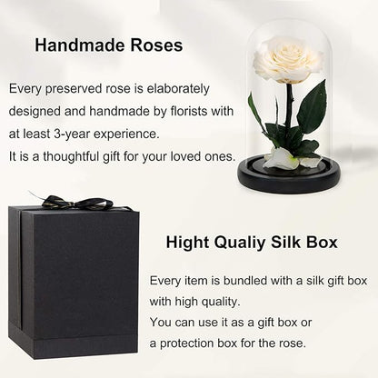 NATROSES Handmade Preserved Roses in Glass Dome, White Roses, Preserved Flowers Gifts for Women, Mothers Day Flowers