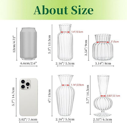 Mini Glass Vases for Centerpieces - Hewory Clear Small Bud Vases in Bulk, Cute Flower Vases Set for Wedding, Home Decoration, Table Decor (Clear, 8)