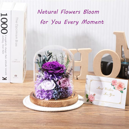 Flowers for Delivery Preserved Rose Gifts for Women,Long-Lasting Real Flowers in Glass Dome, Birthday Gifts for Women Mom Friend(Purple Rose)