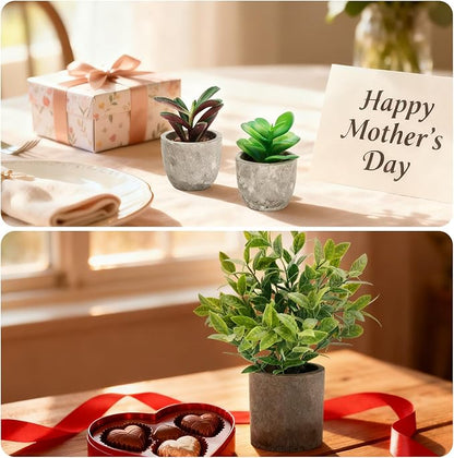 Artificial Potted Plants Faux Greenery in Cement Pots for Shelf, Bookshelf, Office or Home Decor, Small Decorative Fake Plants for Modern Indoor Display (9, XXXL)
