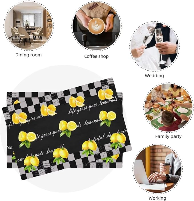 Lemon Kitchen Table Placemats Set of 4 Vintage Black White Checkered Summer Fruit Print Placemat Indoor Outdoor Party Home Desktop Dining Room Decor 12x18 Inch