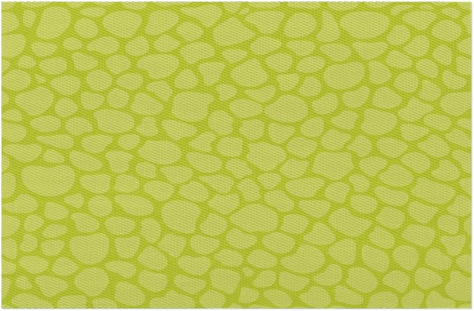 Sage Green Modern Placemats Set of 1 PVC Vinyl Non Slip Table Mats Waterproof Heat Resistant Place Mats Washable Wipeable Dining Table Mat for Kitchen Party Farmhouse Indoor Outdoor Decorative