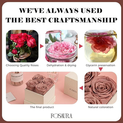 Rosaura 4-Piece Eternal Preserved Roses & Flowers Gift Box - Forever Lasting Real Roses, Preserved Flowers for Valentine's Day Cappuccino