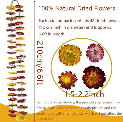 Dried Flowers Garland Real Daisy Sunflower Garlands 6.6ft Natural Dried Daisy Flowers Heads Gerbera Daisies Dry Flower Arrangements for Wedding Boho Decor Home Party Wall Hanging Decoration