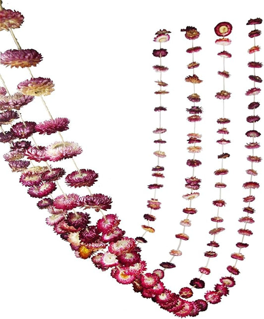 Dried Flowers Garland Real Daisy Sunflower Garlands 10.5ft 63 Pcs Natural Dried Daisy Flowers Heads Gerbera Daisies Dry Flower Arrangements for Wedding Boho Decor Home Party Wall Hanging