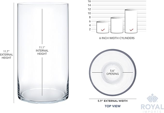 Royal Imports Flower Glass Vase Decorative Centerpiece for Home or Wedding - Cylinder Shape, 12" Tall, 6" Opening, Clear