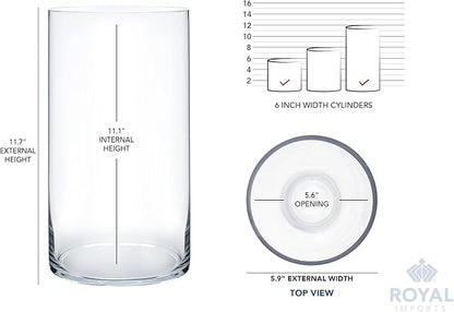 Royal Imports Flower Glass Vase Decorative Centerpiece for Home or Wedding - Cylinder Shape, 12" Tall, 6" Opening, Clear