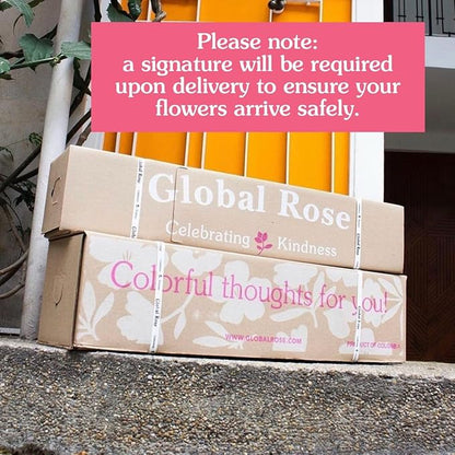 GlobalRose Fresh Cut Red Roses - 50 (2 Bundles of 25) - Real Fresh Flowers Bouquet for Mother's Day, Birthday, Anniversary, Bridal Shower, or Home Decor - Flowers Delivery Gift