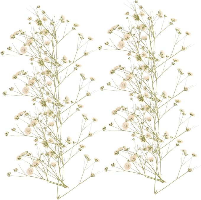 Natural Eternal Dried Flower Bouquet DIY Kit Stems S Breath Floral Adornments for Home Decor Vase Filling Rustic Wedding Decorations