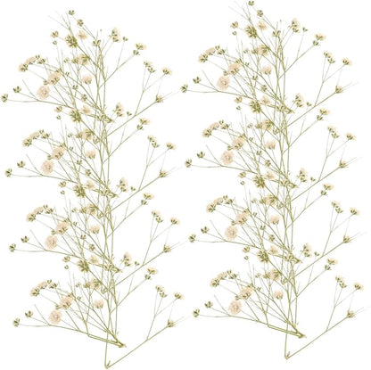 Natural Eternal Dried Flower Bouquet DIY Kit Stems S Breath Floral Adornments for Home Decor Vase Filling Rustic Wedding Decorations