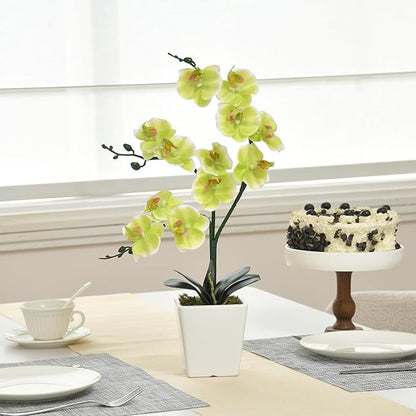 15" Tall Artificial Silk Phalaenopsis Orchid Flower Plant Pot Arrangements (Apple Green)