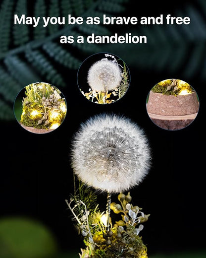 JoyFlower Preserved Dandelion in Glass Dome, Real Dandelion Eternal Flowers Gifts for Women, Preserved Flower Friendship Gifts for Girlfriend Best Friend Sisters Daughter Birthday Graduation Gift