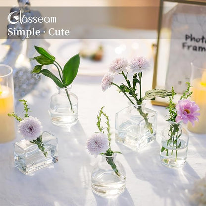 Glasseam Mini Glass Bud Vases: Small Clear Vases for Centerpieces Cute Tiny Flower Vase Set of 10 for Flowers Modern Centerpiece Decor for Wedding Party Dining Room Decoration