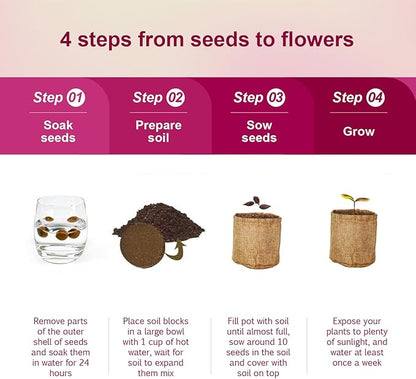 Herbsy 5 Indoor Flower Growing Kit, Complete Planting Starter Set with Sunflower, Zinnia, Marigold, Cosmos, Cornflower Seeds, Unique Birthday and Christmas Gifts for Women, Men, Plant Lovers