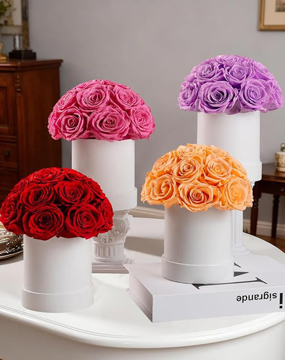 Preserved Roses Dome in a Box, Forever Real Roses Decor, Eternal Flowers for Delivery Prime, Best Gifts Birthday, Wedding, Anniversary, Mother's Day, Christmas for Her, 18-Pieces (Red)