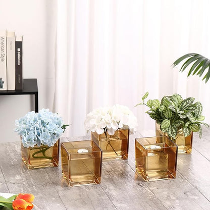 Square Amber Glass Vases Set of 2, 6" x 6" x 6" Square Vase for Centerpieces, Flower Vases for Centerpieces, Small Vase for Wedding, Party, Home Office Decoration
