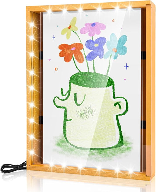 Dried Flower Shadow Box with LED Light | Changeable Artwork Display & Storage Frame | Wall-mounted & Tabletop Photo Album Display Frame (Orange)