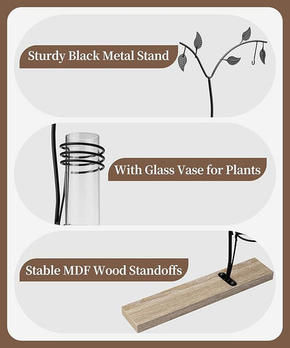 Afuly 5x7 Picture Frame with Glass Vase for Plants Flowers, Desk Picture Frames Floating Photo Frame for Office Home Decor, Unique Anniversary Mothers's Day Gifts for Grandma Mom, Light Brown