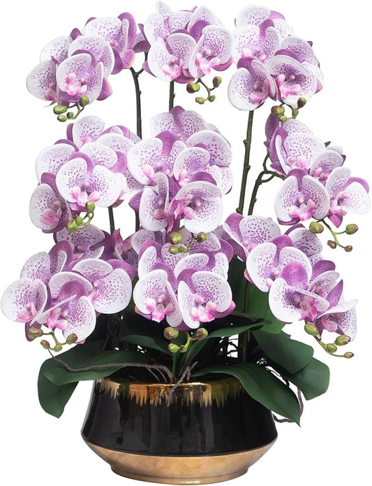 CXGS Orchids Artificial Flower Real Touch Faux Orchid in Large Ceramic Vase Realistic Fake Phalaenopsis Floral Arrangements Centerpiece Table Home Indoor Decor