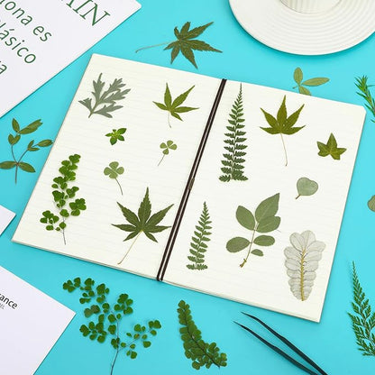 Augshy Pressed Dried Leaves Flowers, 100 Pcs Green Dried Flowers Leaves for Resin Molds Assorted Real Pressed Flowers for Crafts DIY Jewelry Molds, Scrapbooking, Candle