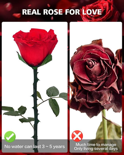 Flowers for Delivery Prime Gifts for Women: Preserved Rose Gifts for Mom Wife Grandma Birthday Single Rose Red