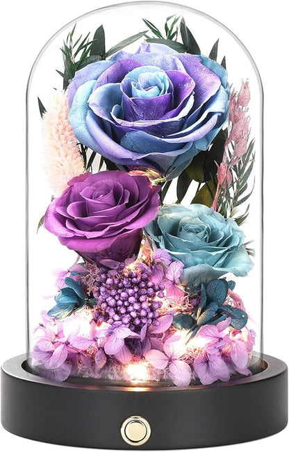 Birthday Gifts for Women Purple Preserved Flowers in Glass Dome Forever Flowers for Delivery Prime, Colorful Forever Roses Anniversary Valentines Day Mothers Day for Her Mom Wife