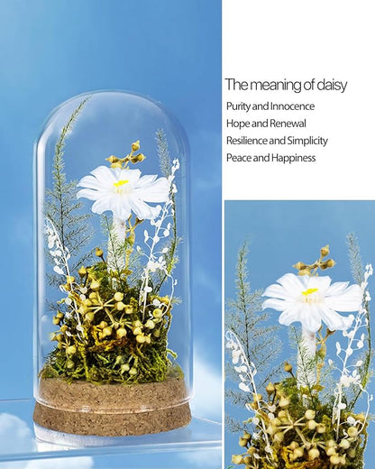 JoyFlower Preserved Daisy in Glass Dome, Real Daisy Eternal Flowers Gifts for Women, Preserved Flower Friendship Gifts for Girlfriend Best Friend Sisters Daughter Birthday Graduation Gift