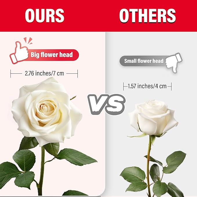 50PCS Artificial Roses with Long Stems - Realistic Silk Flowers, Fake Roses Real Touch Bouquet of Roses for Home Decor, Bridal Wedding Party Table Centerpieces, Bulk Faux Rose Flowers (White)