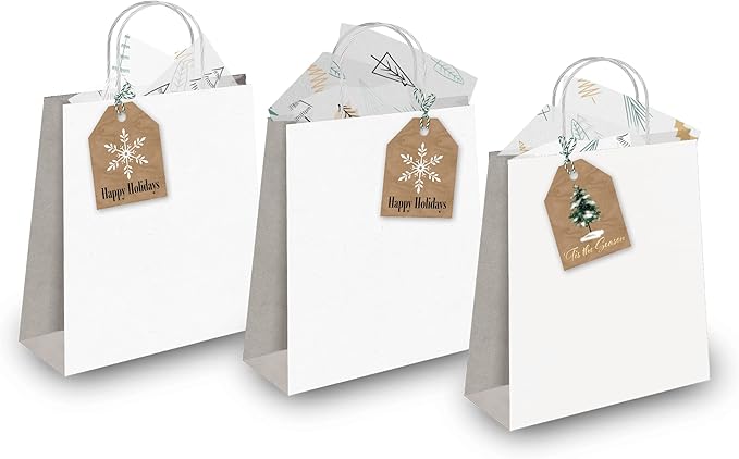 Pro Supply Global 24 Count of 2.5 Inch x 3 Inch Pre Strung Christmas Fir Trees Gift Tag Assorted Printed Designs on Large Cardstock Gift Hang Tags - Ideal to Use on Bags