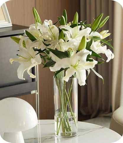 Olrla 2 Sets Tall Transparent Acrylic Flower Vase Height 11.61'', Shatter-Proof Clear Cylinder Vase for Rose and Lily Flowar Arrangement