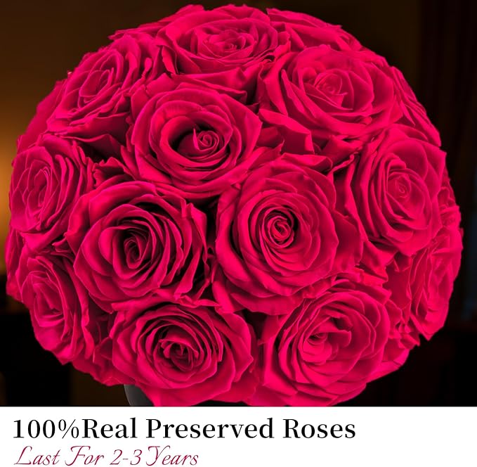 Eternal Rose Dome with Vintage Pedestal, 23 Forever Preserved Roses Arrangement for Home Decoration, Ideal Gift for Christmas,Valentine's Day, Mother's Day, Birthdays-Hot pink