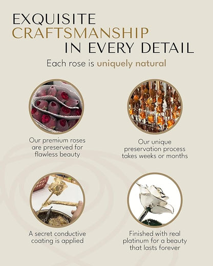 Forever Rose Real Snow White Rose with Platinum Trimmed Petals and Platinum Stem, Handcrafted Preserved Rose in Luxury Gold Gift Box, Romantic Gift for Her, Elegant Gift for Any Occasion