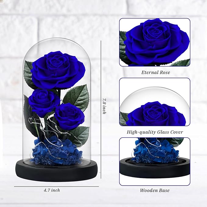 3 Preserved Flowers Roses in Glass Dome with Light for Beauty and The Beast Decor Real Rosas Eternas for Women Mom Birthday,Forever Blue Roses for Delivery,Christmas for Wife Girlfriend Her