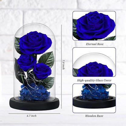 3 Preserved Flowers Roses in Glass Dome with Light for Beauty and The Beast Decor Real Rosas Eternas for Women Mom Birthday,Forever Blue Roses for Delivery,Christmas for Wife Girlfriend Her
