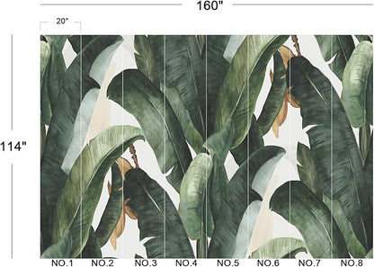 Cliouar-Green Plants, Agave Wall Mural Wallpaper Peel and Stick 160" x 114"