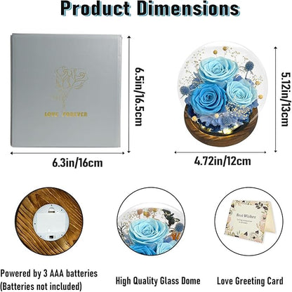 FIACO Valentines Gifts for Her Preserved Flowers in Glass Dome Long-Lasting Eternal Roses Birthday Gifts for Women Mom Grandma Wife Girlfriend Blue Forever Flowers for Delivery Prime