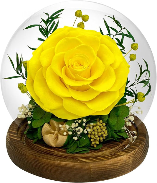 Preserved Rose Forever Flowers in Glass - Birthday Gifts for Women Mom, Real Flowers for Delivery Prime | Rose Gift for Grandma Wife Sister Friend (Yellow)