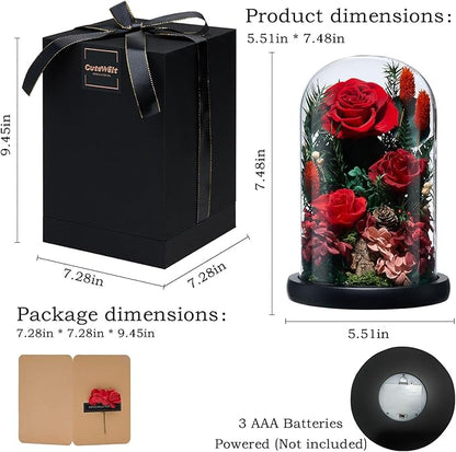 Preserved Roses,Forever Fresh Flowers 7.48in,Gift for Women,Mom,Grandma,Wife,Girlfriend,Sister,and Daughter Perfect for Birthday,Mother’s Day,Valentine’s Day (True Romance1)