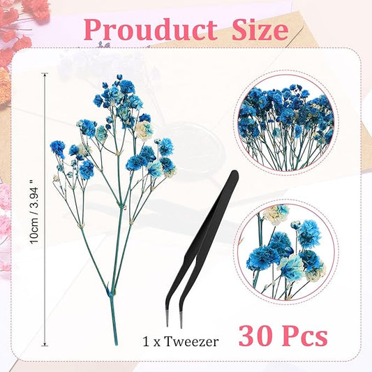 PATIKIL Mini Dried Gypsophila Flower Kit, 30Pcs 4 Inch Dark Blue Natural Pressed Floral Bundles with Tweezer for DIY Resin Crafts Gift Wedding Christmas Card Decor Flower Bouquets