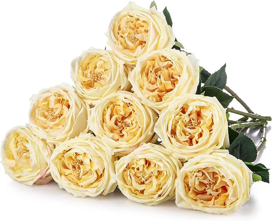 10pcs Real Touch Peonies Artificial Flowers, Faux Austin Rose with Long Stem Look Real Fake Flower for Christmas Valentines Arrangement Wedding Party Home Kitchen Decor(Champagne)