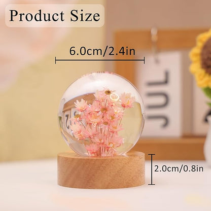Daisy Decor Gifts,Daisy Flower Lamp Crystal Ball Night Light,2.4 Inch Glass Ball Lamp with LED Wooden Base,Soft Warm White Lighting for Women Best Friends Sister Birthday Xmas Aesthetic Gift(Red)