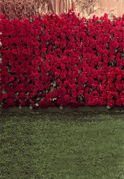 AOFOTO 5x7ft Child Photography Background Kid Photo Shoot Backdrops Romance Red Rose Flowers Wall Blurry Grass Floors Toddler Artistic Portrait Scene Studio Props Video Digital
