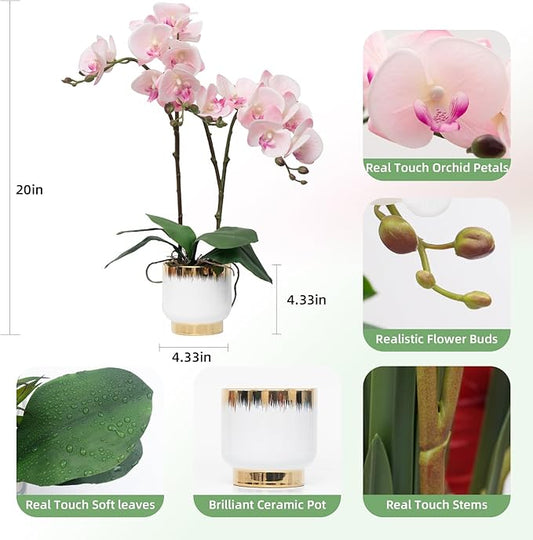 CXGS Orchids Artificial Flowers Real Touch Fake Flowers in Ceramic Pot 20" Pink Faux Orchid Plant Lifelike Silk Phalaenopsis for Centerpiece Hotel Home Indoor Decor