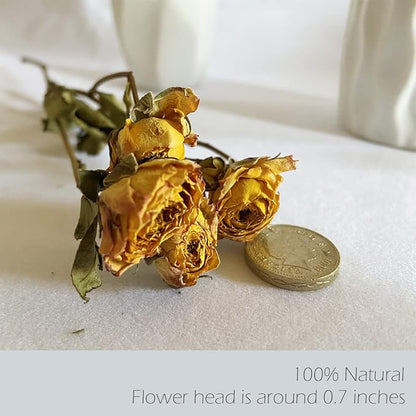 L'BREVOGA Dried Flower Spray Rose Bouquets, 2 Bunches 100% Natural Flowers, Miniature Roses with Baby’s Breath for Decoration Home Party (Spray Rose)